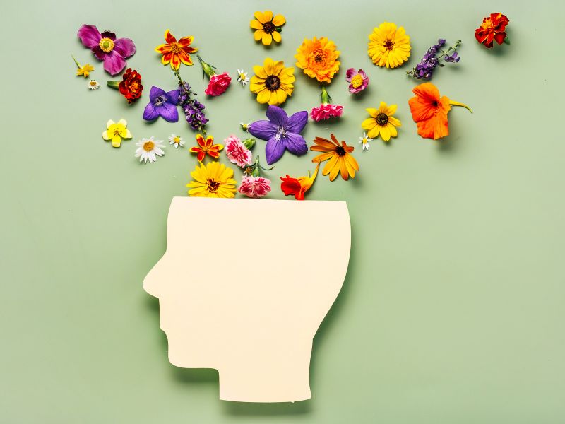 Patient Waiting Area